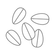 Гоп FM